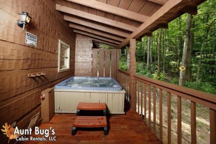 A Secluded Retreat #216 by Aunt Bugs Cabins - image 3