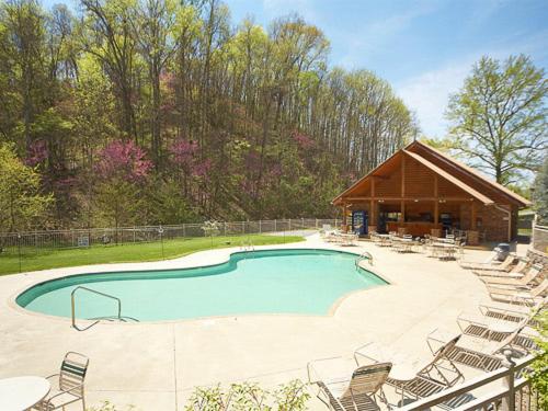 Mountain Flower 4 Bedrooms Hot Tub Pool Sleeps 12 - image 3