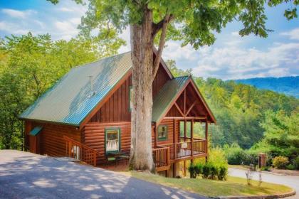 Bear Climbing Getaway Pigeon Forge Tennessee