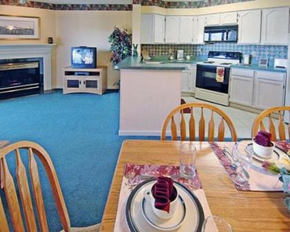 Beautiful Resort Condos at the Foothills of the Smoky Mountains - image 12