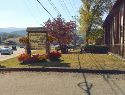 Family Condo at Fun-Filled Pigeon Forge - One Bedroom Condo #1 - image 11