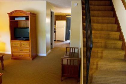 Fun and Relaxing Condo Foothills of Pigeon Forge - Two Bedroom #1 - image 7