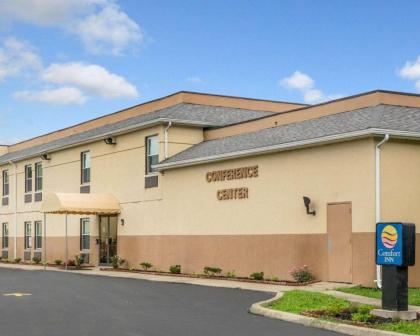 Comfort Inn Piketon - image 3