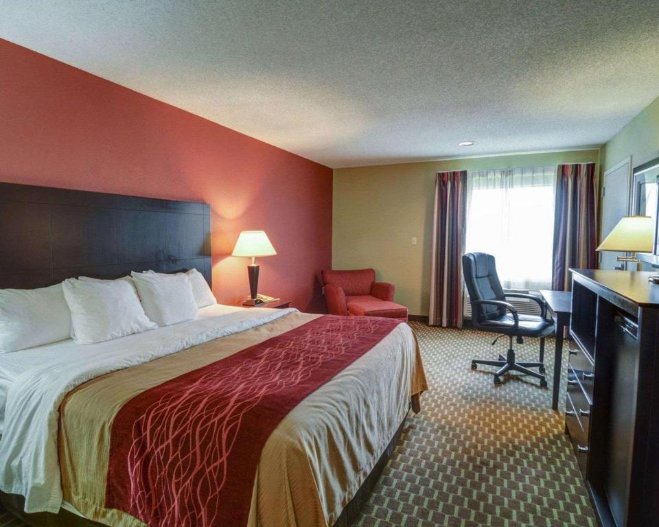 Quality Inn & Suites Pine Bluff - image 7