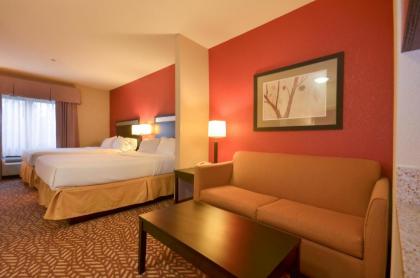 Holiday Inn Express & Suites Pine Bluff/Pines Mall an IHG Hotel - image 11