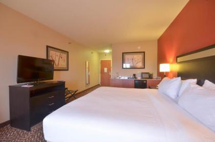 Holiday Inn Express & Suites Pine Bluff/Pines Mall an IHG Hotel - image 7