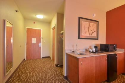 Holiday Inn Express & Suites Pine Bluff/Pines Mall an IHG Hotel - image 9