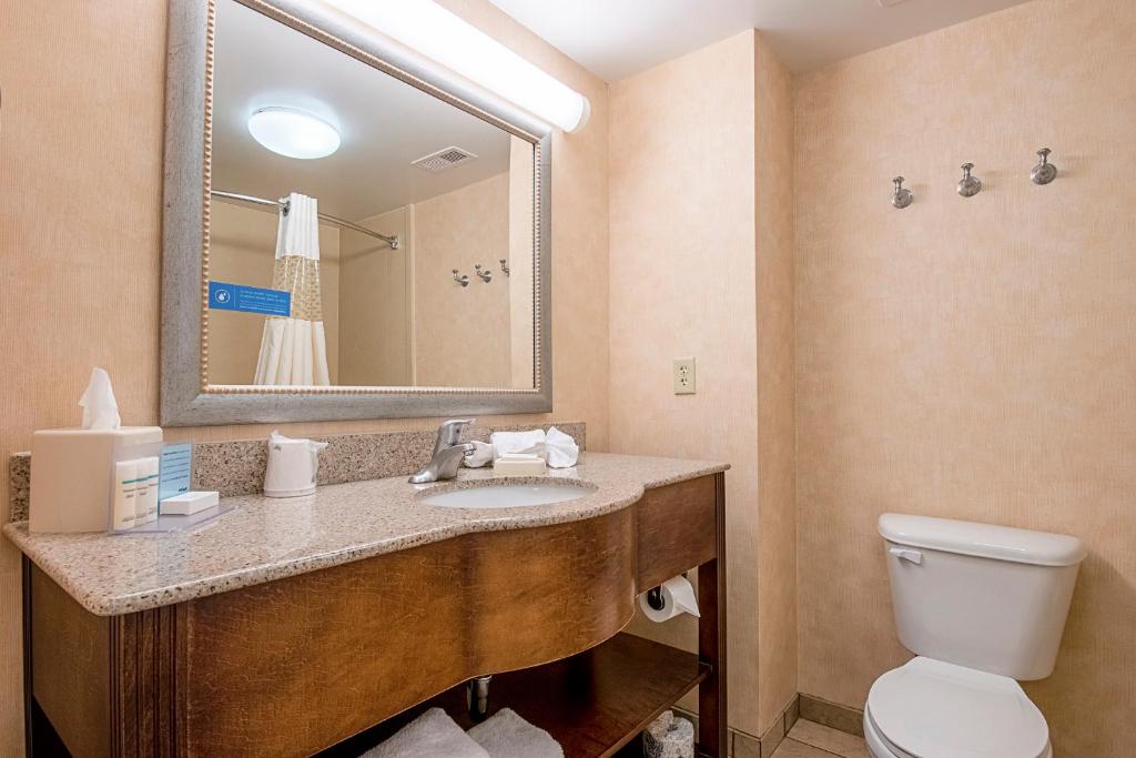 Hampton Inn Pine Grove - image 4