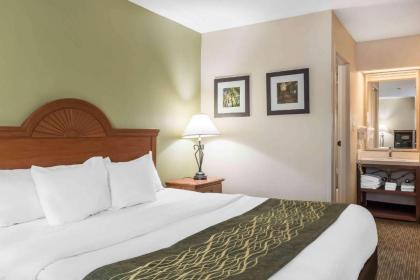 Comfort Inn Pine Grove - image 8