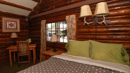 Log Cabin Motel - image 3