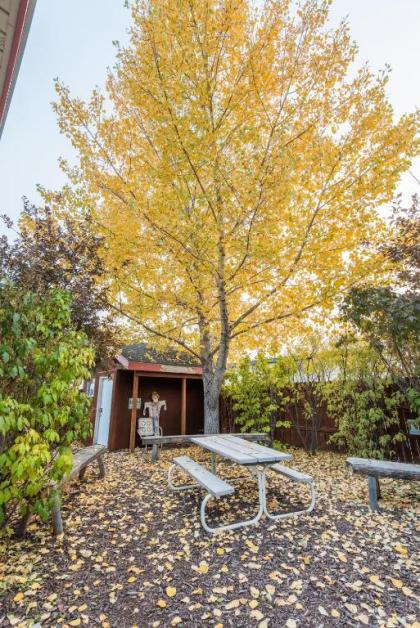 Pinedale Cozy Cabins - image 3