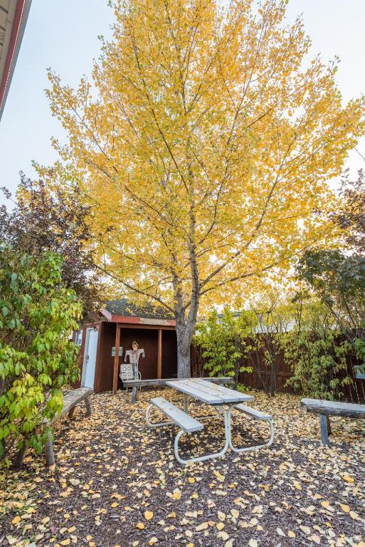 Pinedale Cozy Cabins - image 3