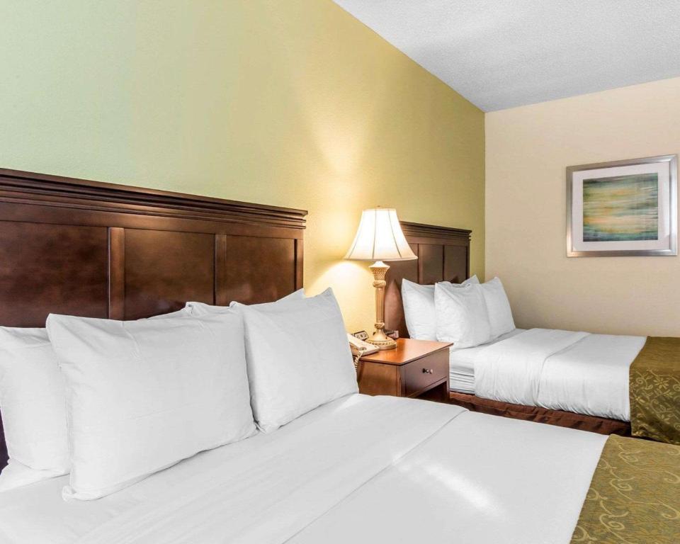 Comfort Inn Pinehurst - image 7