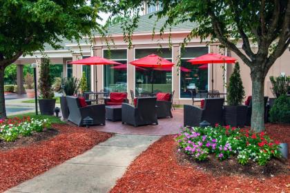 Hilton Garden Inn Charlotte Pineville - image 8