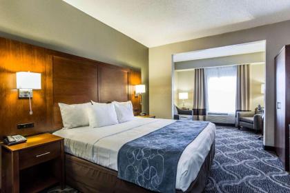 Comfort Suites Pineville - Ballantyne Area - image 14