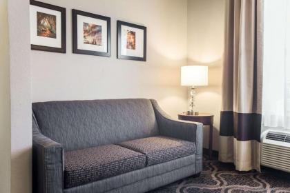 Comfort Suites Pineville - Ballantyne Area - image 8