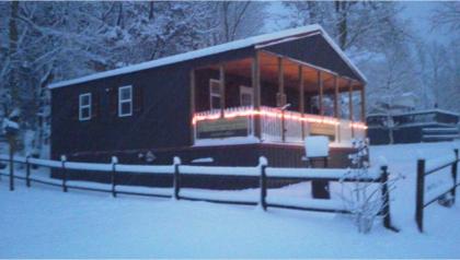 Rock Ridge Rentals Cottage - image 12