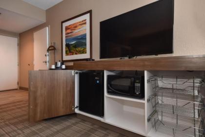 Hampton Inn Brevard - image 8