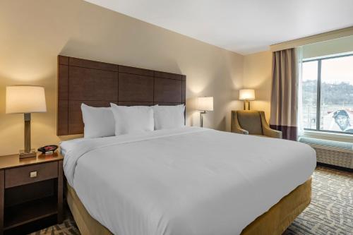 Comfort Inn & Suites Pittsburgh-Northshore - image 4