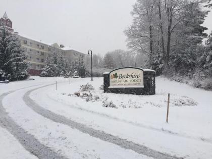 Berkshire Mountain Lodge - image 2