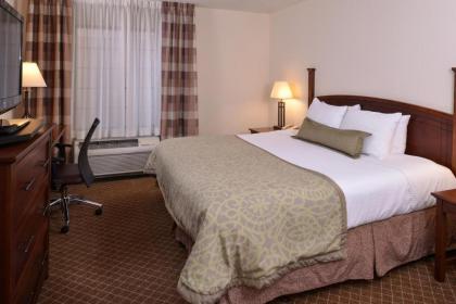 Staybridge Suites Indianapolis-Airport an IHG Hotel - image 19