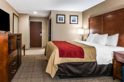 Comfort Inn Plainfield - image 10