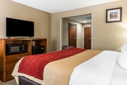 Comfort Inn Plainfield - image 12