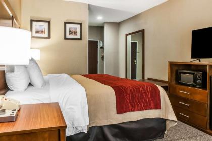 Comfort Inn Plainfield - image 15