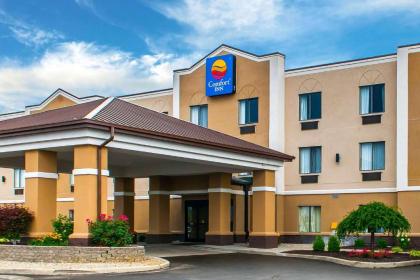 Comfort Inn Plainfield - image 6