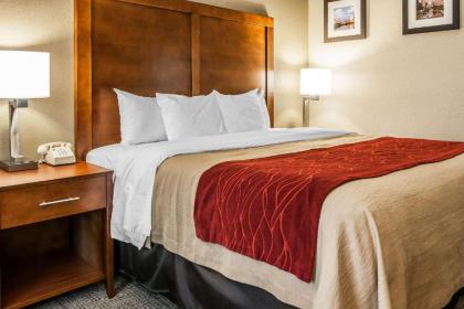 Comfort Inn Plainfield - image 9