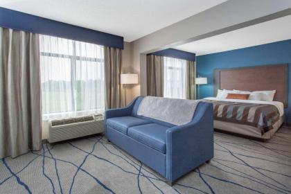 Wingate by Wyndham Indianapolis Airport Plainfield - image 10