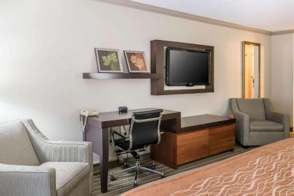 Comfort Inn Plainwell - image 10