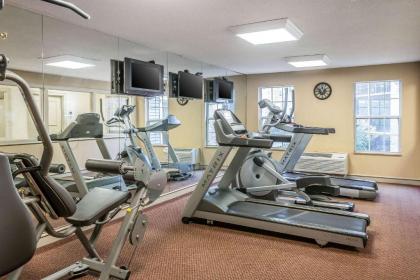 Comfort Inn Plainwell - image 12