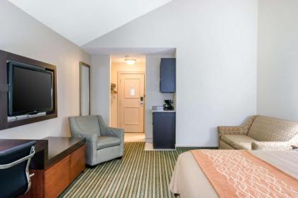 Comfort Inn Plainwell - image 5