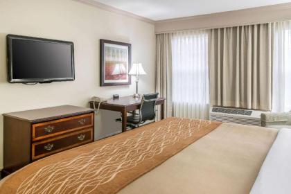 Comfort Inn Plainwell - image 7