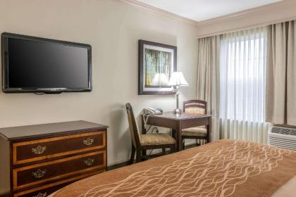 Comfort Inn Plainwell - image 9