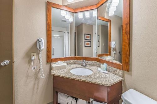 Quality Inn West Plano - Dallas - image 5