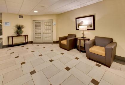 Holiday Inn Express Hotel & Suites Pleasant Prairie-Kenosha an IHG Hotel - image 8