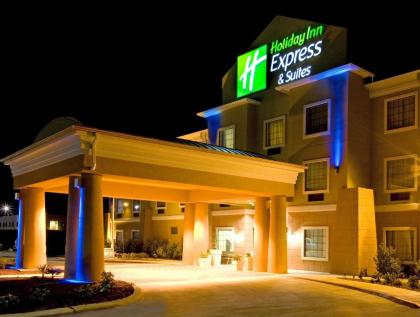 Holiday Inn Express Hotel & Suites Jourdanton Pleasanton - image 3