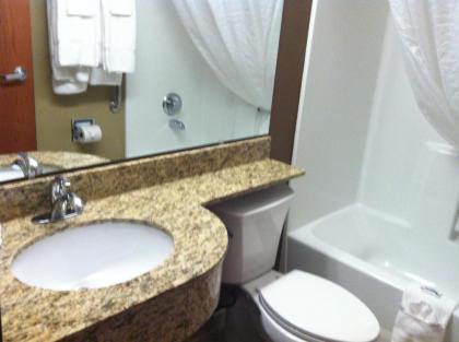 Microtel Inn & Suites Pleasanton - image 15