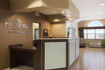 Microtel Inn & Suites Pleasanton - image 3