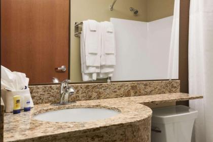 Microtel Inn & Suites Pleasanton - image 7