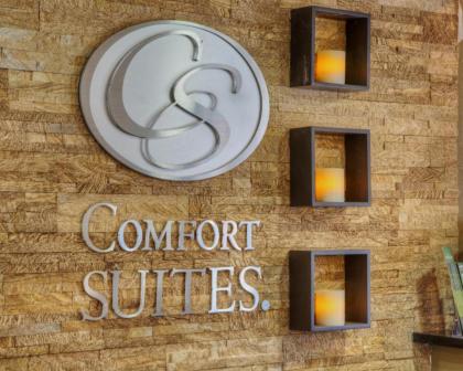 Comfort Suites Plymouth near US-30 - image 12