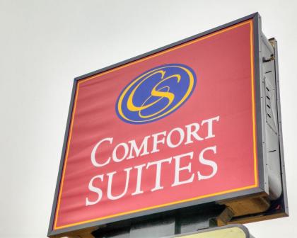 Comfort Suites Plymouth near US-30 - image 5