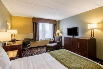 Comfort Inn Plymouth-Minneapolis - image 10