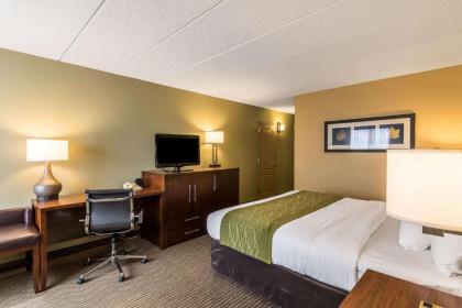 Comfort Inn Plymouth-Minneapolis - image 12