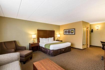 Comfort Inn Plymouth-Minneapolis - image 20