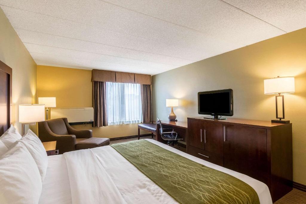 Comfort Inn Plymouth-Minneapolis - image 4