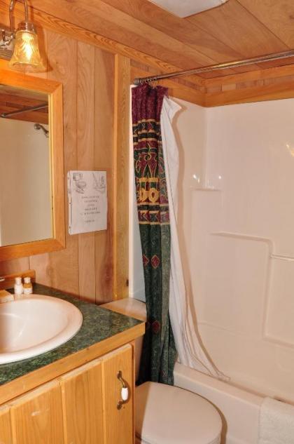 Plymouth Rock Camping Resort Deluxe Cabin 16 - image 11