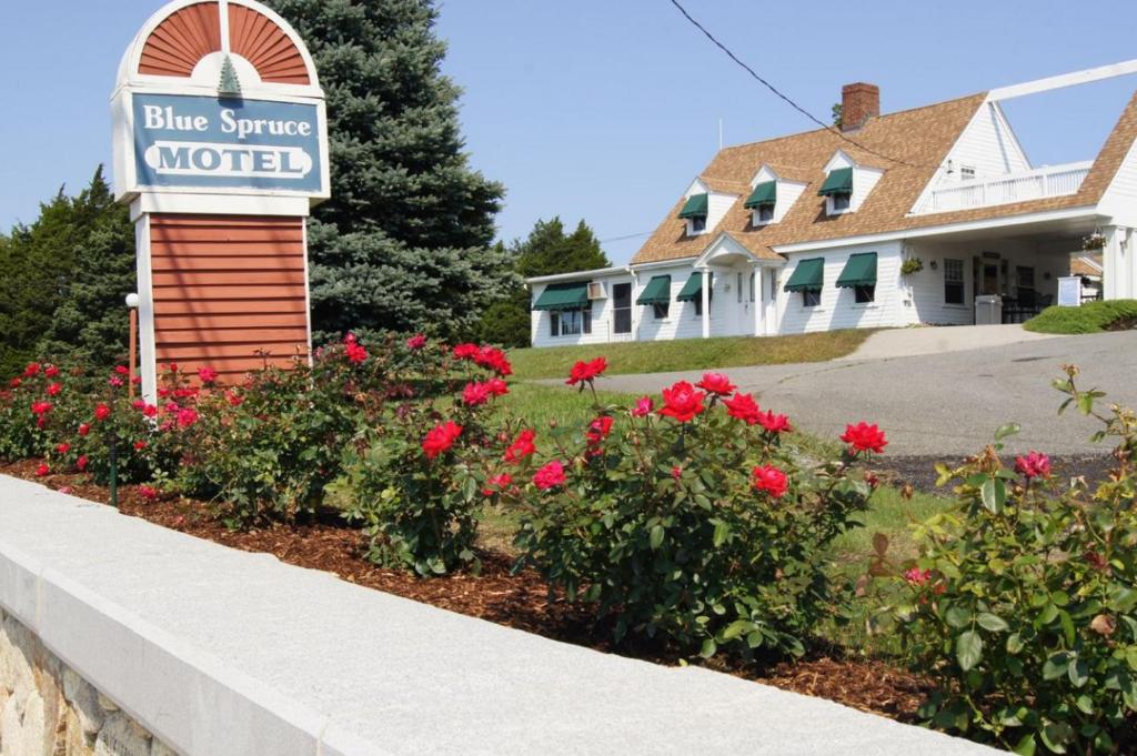 Blue Spruce Motel & Townhouses - main image